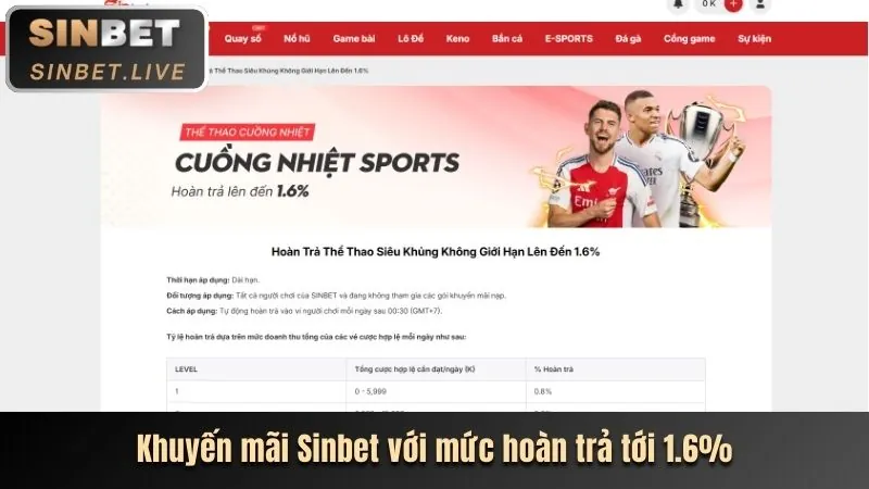 Tổng hợp các môn thể thao khác nhau như đua xe, bóng chuyền, biểu tượng cho sự đa dạng